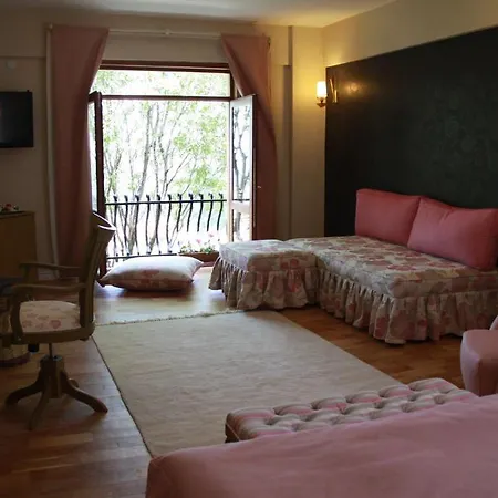 Hotel Reis Kazdaglari