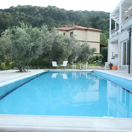 Reis Kazdaglari 쿠카쿠유