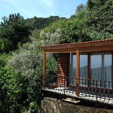 Reis Kazdaglari Kucukkuyu