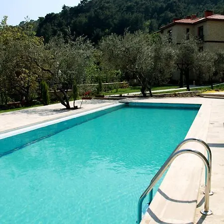 Reis Kazdaglari Kucukkuyu