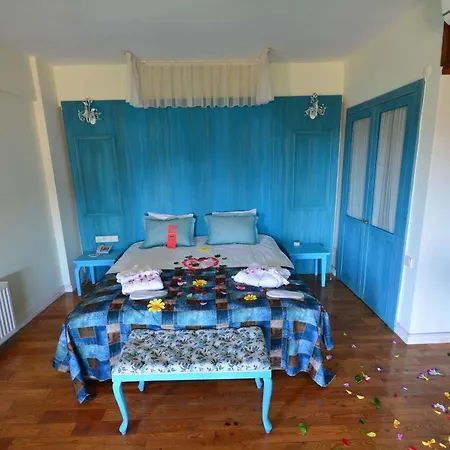 Hotel Reis Kazdaglari