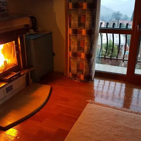 Hotel Reis Kazdaglari 3*